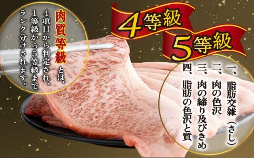 《2026年5月発送》宮崎牛ロースステーキ 200g×3枚 合計600g