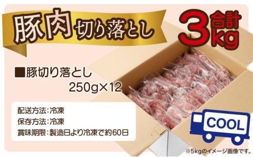 《2026年4月発送》豚肉切り落とし 250g×12パック 合計3kg