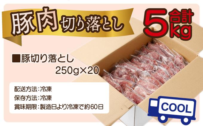 《2026年4月発送》豚肉切り落とし 250g×20パック 合計5kg