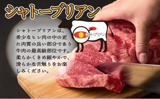 《2026年5月発送》シャトーブリアンブロック 1kg_K033-036