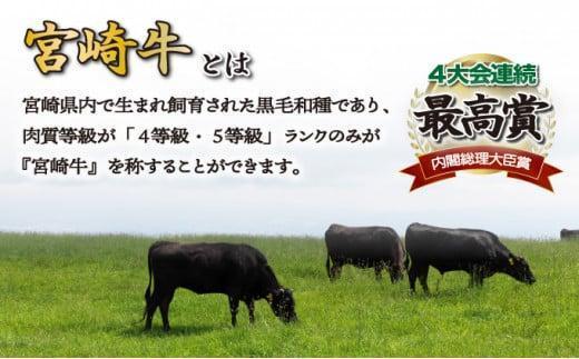 《2026年5月発送》宮崎牛モモブロック 1kg