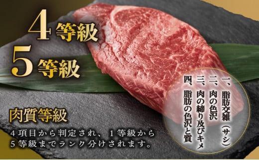 《2026年5月発送》宮崎牛モモブロック 1kg