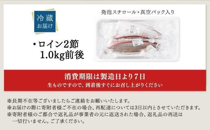 KU281＜2026年5月発送分＞活じめ！黒瀬ぶりの生鮮ブリロイン2節（1.0kg前後）