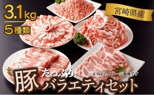 《2026年6月発送》宮崎県産豚バラエティー3.1kgセット_K033-054-2606