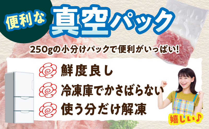 《2026年10月発送》豚肉切り落とし 250g×20パック 合計5kg_K033-030-10