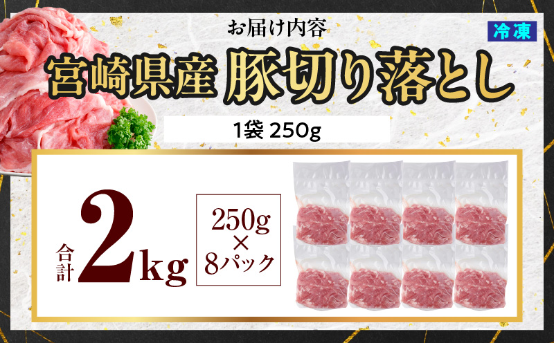 ã2026幎10æçºéãè±èåãèœãšã 250gÃ8ãã㯠åèš2kg_K033-021-10