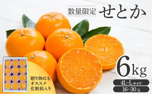 KU250-2 せとか6kg（16～30玉）化粧箱付き