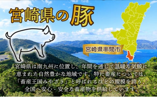KU405-3-2509 ＜2025年9月発送分＞宮崎県産 豚バラエティー 4.1kgセット