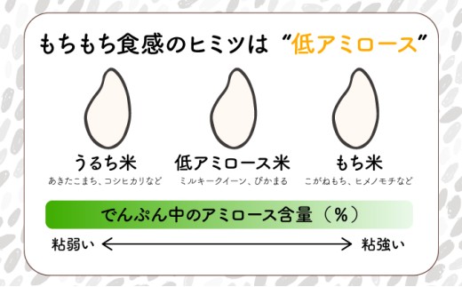 KU160_R7 什å7幎ç£ãè¶
æ©å Žç±³ã ãã«ããŒã¯ã€ãŒã³ èš10kgïŒ5kgÃ2ïŒãäžå³¶ç±³ç©åºã