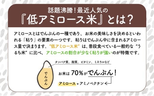 KU159_R7【定期便・全4回】令和7年産「超早場米」ミルキークイーン 計20kg（5kg×4回）【中島米穀店】
