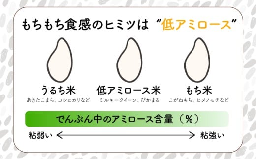 KU159_R7【定期便・全4回】令和7年産「超早場米」ミルキークイーン 計20kg（5kg×4回）【中島米穀店】
