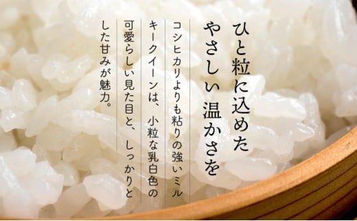 KU159_R7【定期便・全4回】令和7年産「超早場米」ミルキークイーン 計20kg（5kg×4回）【中島米穀店】