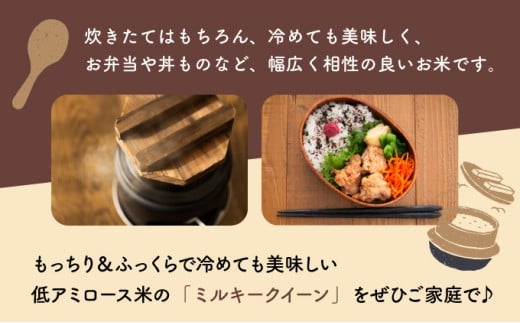KU159_R7【定期便・全4回】令和7年産「超早場米」ミルキークイーン 計20kg（5kg×4回）【中島米穀店】