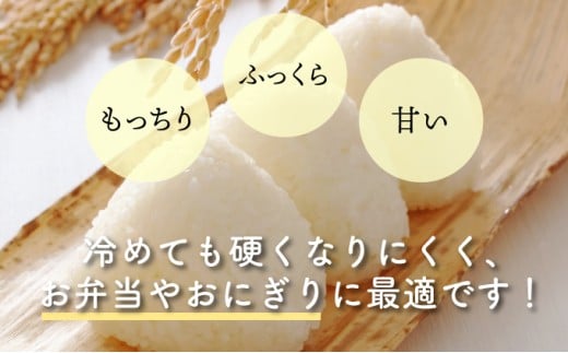 KU158_R7 【定期便・全2回】令和7年産「超早場米」ミルキークイーン 計10kg（5kg×2回）【中島米穀店】