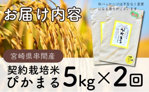 縲仙ョ壽悄萓ソ繝サ蜈ィ2蝗槭台サ、蜥7蟷エ逕」縲瑚カ譌ゥ蝣エ邀ウ縲阪エ縺九∪繧 險10kgシ5kgテ2蝗橸シ 邀ウ 縺顔アウ 縺翫↓縺弱j 縺翫縺吶ウ 縺雁シ∝ス 邊セ邀ウ 逋ス邀ウ 繝悶Λ繝ウ繝臥アウ 菴弱い繝溘Ο繝シ繧ケ 蝗ス逕」 逕滄ョョ鬟溷刀 荳ュ蟲カ邀ウ遨蠎 繧ー繝ォ繝。 荳イ髢灘ク _K028-T001