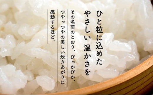 縲仙ョ壽悄萓ソ繝サ蜈ィ2蝗槭台サ、蜥7蟷エ逕」縲瑚カ譌ゥ蝣エ邀ウ縲阪エ縺九∪繧 險10kgシ5kgテ2蝗橸シ 邀ウ 縺顔アウ 縺翫↓縺弱j 縺翫縺吶ウ 縺雁シ∝ス 邊セ邀ウ 逋ス邀ウ 繝悶Λ繝ウ繝臥アウ 菴弱い繝溘Ο繝シ繧ケ 蝗ス逕」 逕滄ョョ鬟溷刀 荳ュ蟲カ邀ウ遨蠎 繧ー繝ォ繝。 荳イ髢灘ク _K028-T001