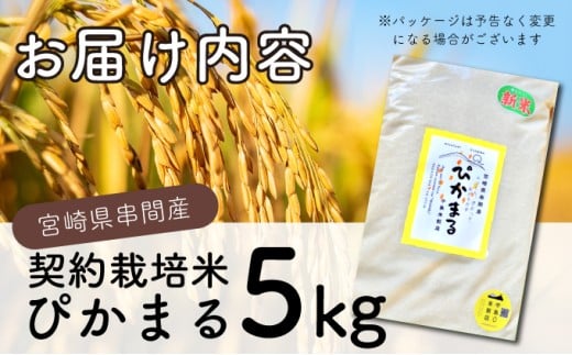 KU153_R7 什å7幎ç£ãè¶
æ©å Žç±³ããŽããŸã(5kg)ãäžå³¶ç±³ç©åºã