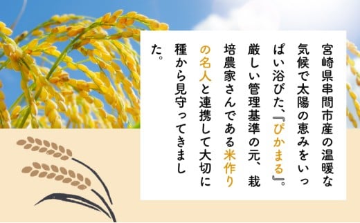 KU153_R7 什å7幎ç£ãè¶
æ©å Žç±³ããŽããŸã(5kg)ãäžå³¶ç±³ç©åºã