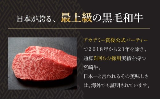 ＜宮崎牛＞こま肉200g×10袋(計2kg)_K049-006