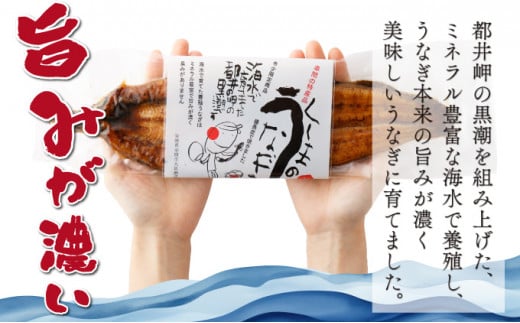 KU469-4s くしまの黒潮うなぎ蒲焼小4尾（合計560g前後）【大田商店】