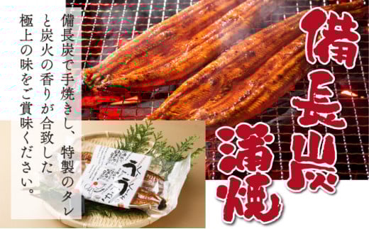 KU469-4s くしまの黒潮うなぎ蒲焼小4尾（合計560g前後）【大田商店】