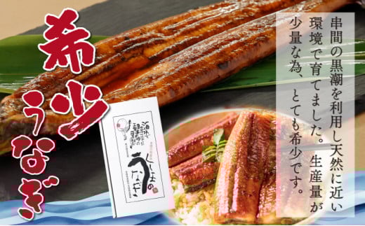 KU469-4s くしまの黒潮うなぎ蒲焼小4尾（合計560g前後）【大田商店】