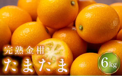 KU432-2 【先行予約】串間市産 完熟きんかん「たまたま」6kg