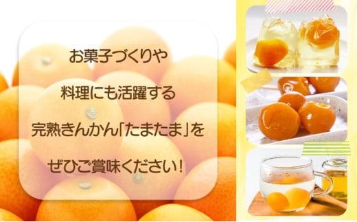 KU432-1 【先行予約】串間市産 完熟きんかん「たまたま」3kg