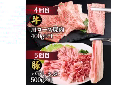 MCT6UB-69 縲仙ョ壽悄萓ソ繝サ蜈ィ6蝗槭大ョョ蟠守央繝サ螳ョ蟠守恁逕」雎夊i 6繝カ譛亥ョ壽悄萓ソシ6.9kg