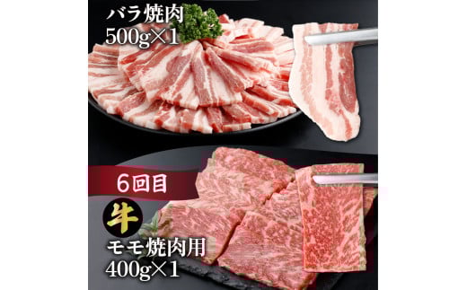 MCT6UB-69 縲仙ョ壽悄萓ソ繝サ蜈ィ6蝗槭大ョョ蟠守央繝サ螳ョ蟠守恁逕」雎夊i 6繝カ譛亥ョ壽悄萓ソシ6.9kg