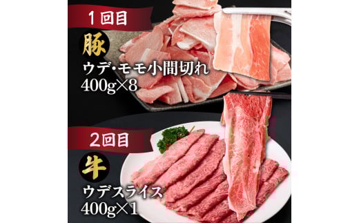 MCT6UB-69 縲仙ョ壽悄萓ソ繝サ蜈ィ6蝗槭大ョョ蟠守央繝サ螳ョ蟠守恁逕」雎夊i 6繝カ譛亥ョ壽悄萓ソシ6.9kg