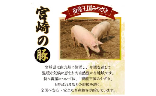 MCT6UB-69 縲仙ョ壽悄萓ソ繝サ蜈ィ6蝗槭大ョョ蟠守央繝サ螳ョ蟠守恁逕」雎夊i 6繝カ譛亥ョ壽悄萓ソシ6.9kg