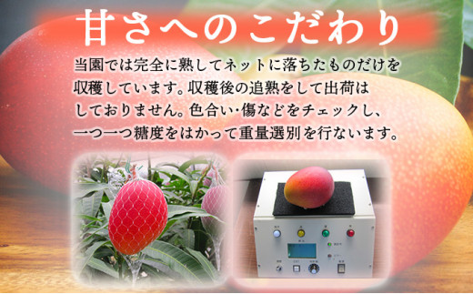 縲舌d縺セ縺励◆霎イ蝨偵托シ懷郁。御コ育エシ樒ウ門コヲ蟷ウ蝮15蠎ヲ莉・荳奇シ鬮倩ゥ穂セ。縺ョ螳ョ蟠主ョ檎溘槭Φ繧エ繝シシ2Lテ2邇牙・繝サ邁。譏鍋ョア蜈・シ芽セイ蝨堤峩騾√□縺九i縺ァ縺阪k鬮伜刀雉ェ縺ィ縺雁セウ諢滂シ 4邂ア KU477-4