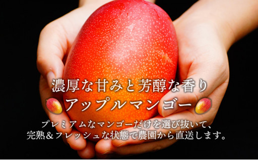 縲舌d縺セ縺励◆霎イ蝨偵托シ懷郁。御コ育エシ樒ウ門コヲ蟷ウ蝮15蠎ヲ莉・荳奇シ鬮倩ゥ穂セ。縺ョ螳ョ蟠主ョ檎溘槭Φ繧エ繝シシ2Lテ2邇牙・繝サ邁。譏鍋ョア蜈・シ芽セイ蝨堤峩騾√□縺九i縺ァ縺阪k鬮伜刀雉ェ縺ィ縺雁セウ諢滂シ 2邂ア KU477-2