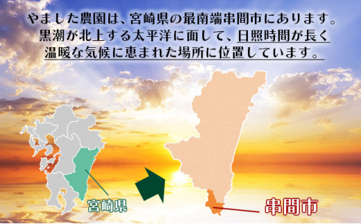 シ懷郁。御コ育エシ樞迚ケ螟ァ繧オ繧、繧コ笘邏ッ險11,000邇臥筏霎シ遯∫エ!! 邉門コヲ15蠎ヲ莉・荳翫ョ鬮倩ゥ穂セ。縺ョ螳ョ蟠主ョ檎溘槭Φ繧エ繝シ(4Lテ2邇牙・繝サ雍育ュ皮畑) 4邂ア_K005-004