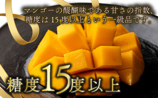 ＜先行予約＞糖度15度以上の宮崎完熟マンゴー(5L×1玉入・贈答用) ＜ギフト用＞1箱_K005-011