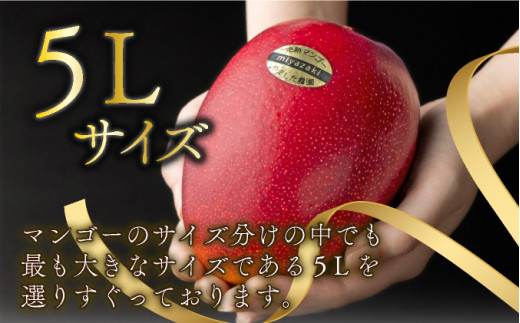 ＜先行予約＞糖度15度以上の宮崎完熟マンゴー(5L×1玉入・贈答用) ＜ギフト用＞1箱_K005-011