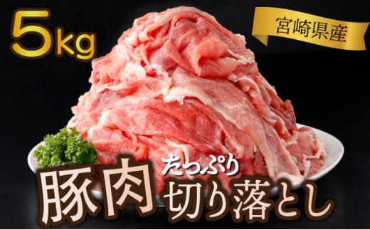 ＜2025年8月発送分＞宮崎県産 豚肉切り落とし 250g×20パック 合計5kg