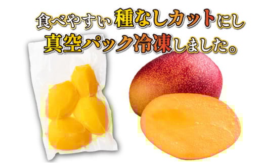 【やました農園】＜先行予約＞宮崎完熟マンゴー スライス カット 400g×2パック 計800g（2Lサイズ約2～3個分） | 糖度平均15度以上！高評価のみやざき完熟マンゴー AE-A12
