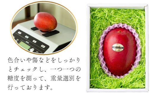 【やました農園】＜先行予約＞宮崎完熟マンゴー スライス カット 400g×2パック 計800g（2Lサイズ約2～3個分） | 糖度平均15度以上！高評価のみやざき完熟マンゴー AE-A12