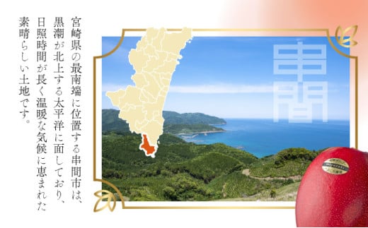 【やました農園】＜先行予約＞宮崎完熟マンゴー スライス カット 400g×2パック 計800g（2Lサイズ約2～3個分） | 糖度平均15度以上！高評価のみやざき完熟マンゴー AE-A12