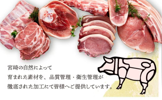 MCBKM32ãå®®åŽçç£è±ãå°éåãïŒåèš3.2kgïŒ