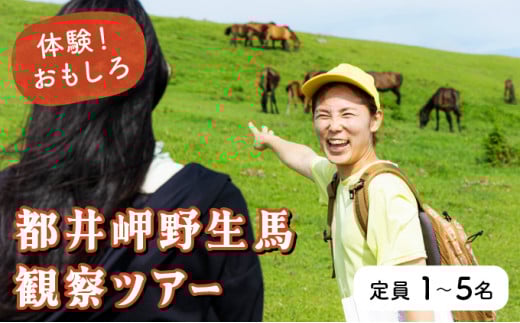 OP-TMG 体験！おもしろ『都井岬野生馬』観察ガイドツアー