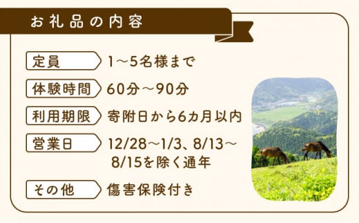 体験！おもしろ『都井岬野生馬』観察ガイドツアー_K042-001