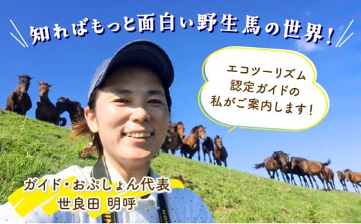 体験！おもしろ『都井岬野生馬』観察ガイドツアー_K042-001