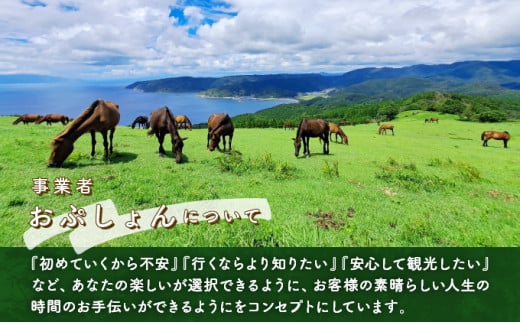 体験！おもしろ『都井岬野生馬』観察ガイドツアー_K042-001