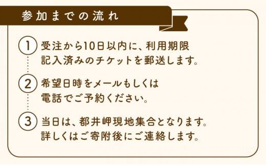 体験！おもしろ『都井岬野生馬』観察ガイドツアー_K042-001