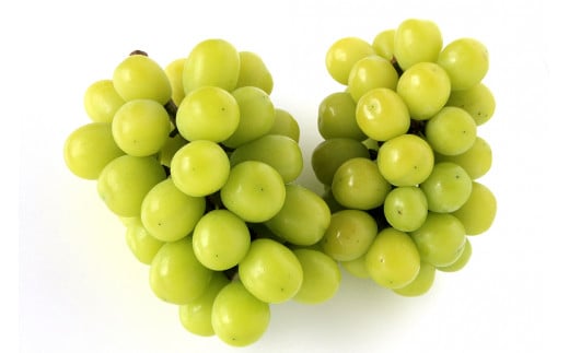 KZBSP2 ＜訳あり＞ パック入り　シャインマスカット 　約2kg（4房）【KAZUSAN農園】