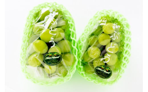 KZBSH1 ＜訳あり＞ シャインマスカット 　約1kg（2房）【KAZUSAN農園】