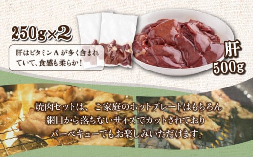 若鶏焼肉4.1kgセット_K040-014